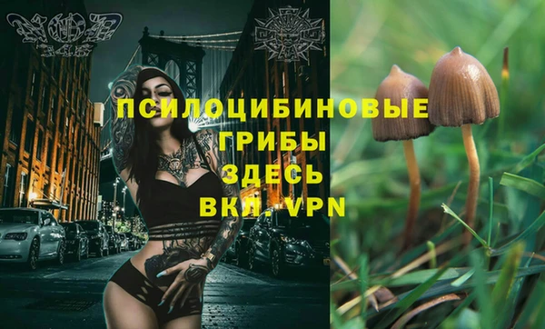 MDMA Premium VHQ Михайлов