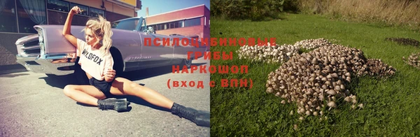 эйфоретик Кинешма