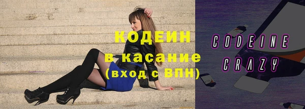 не бодяженный Заводоуковск