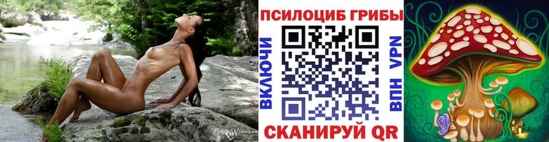 Галлюциногенные грибы Cubensis  как найти закладки  Новомосковск 