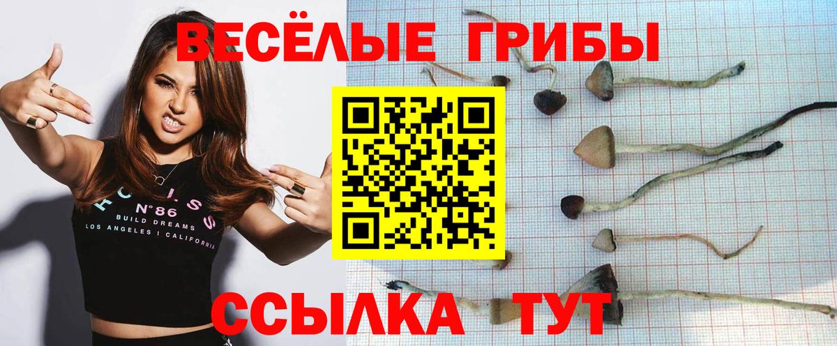 Галлюциногенные грибы Magic Shrooms Новомосковск