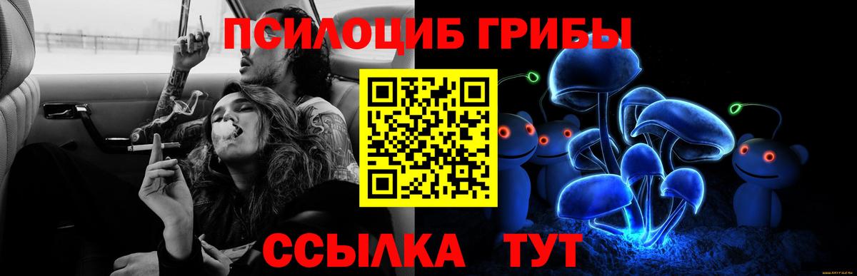 Галлюциногенные грибы ЛСД  Псилоцибиновые грибы Psilocybine cubensis  Вход с VPN  Новомосковск 