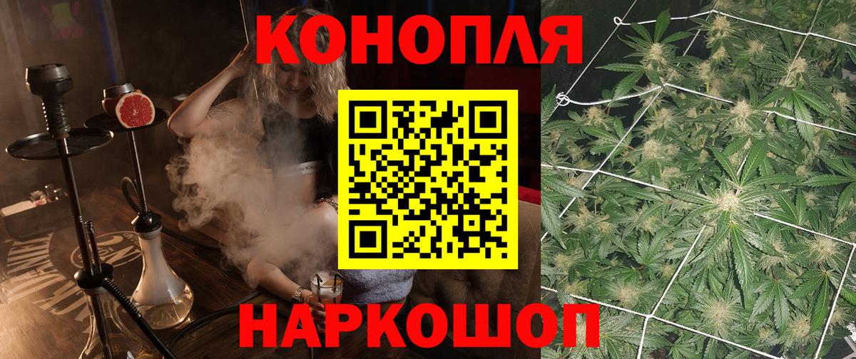 МАРИХУАНА конопля Новомосковск